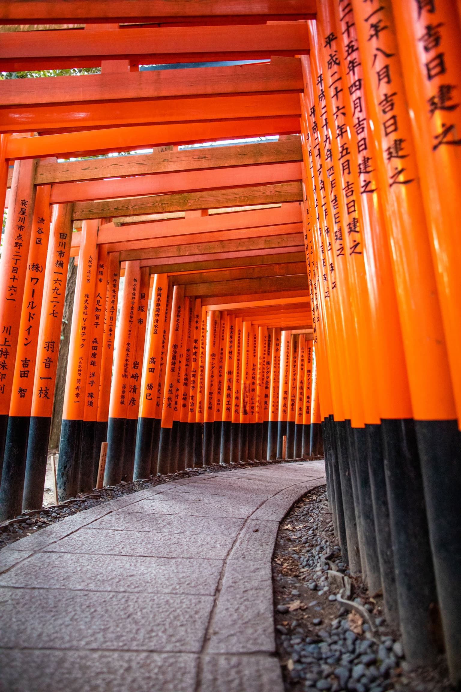 Ten Thousand Gates, Kyoto